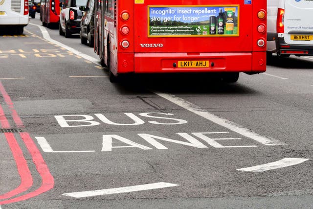 <p>Many drivers accidentally enter a bus lane (Alamy/PA)</p>