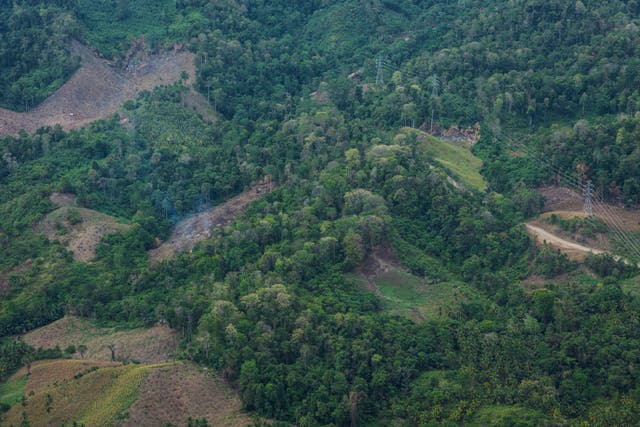 SKorea Deforestation Biomass