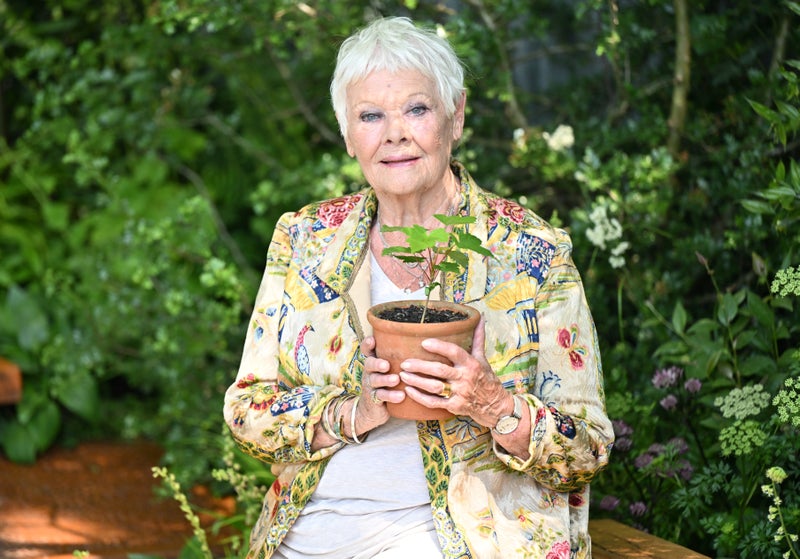 Dame Judi Dench reveals she can’t go ...