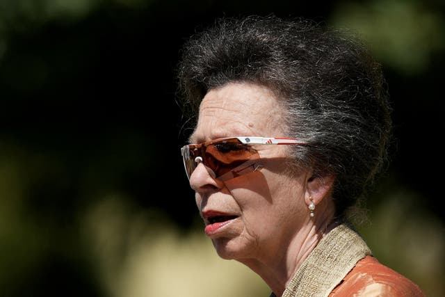 <p>Britain's Anne, Princess Royal, speaks during the Commonwealth War Graves Cape Town Labour Corps Memorial inauguration ceremony in Cape Town, South Africa January 22</p>