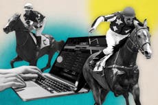 Horse Racing Free Bets