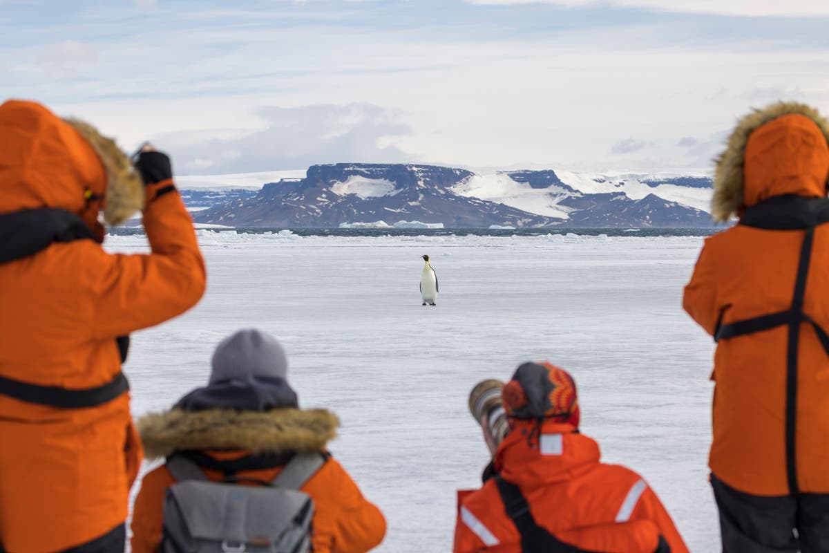 Explore the World's Most Remote Jobs in Antarctica – All Expenses Paid!