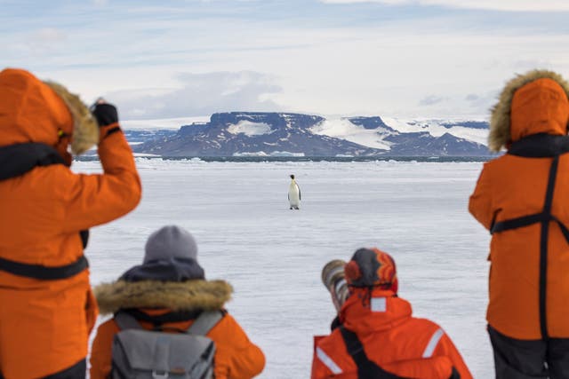 <p>The UK’s Antarctica research bases include Rothera and Halley Station</p>