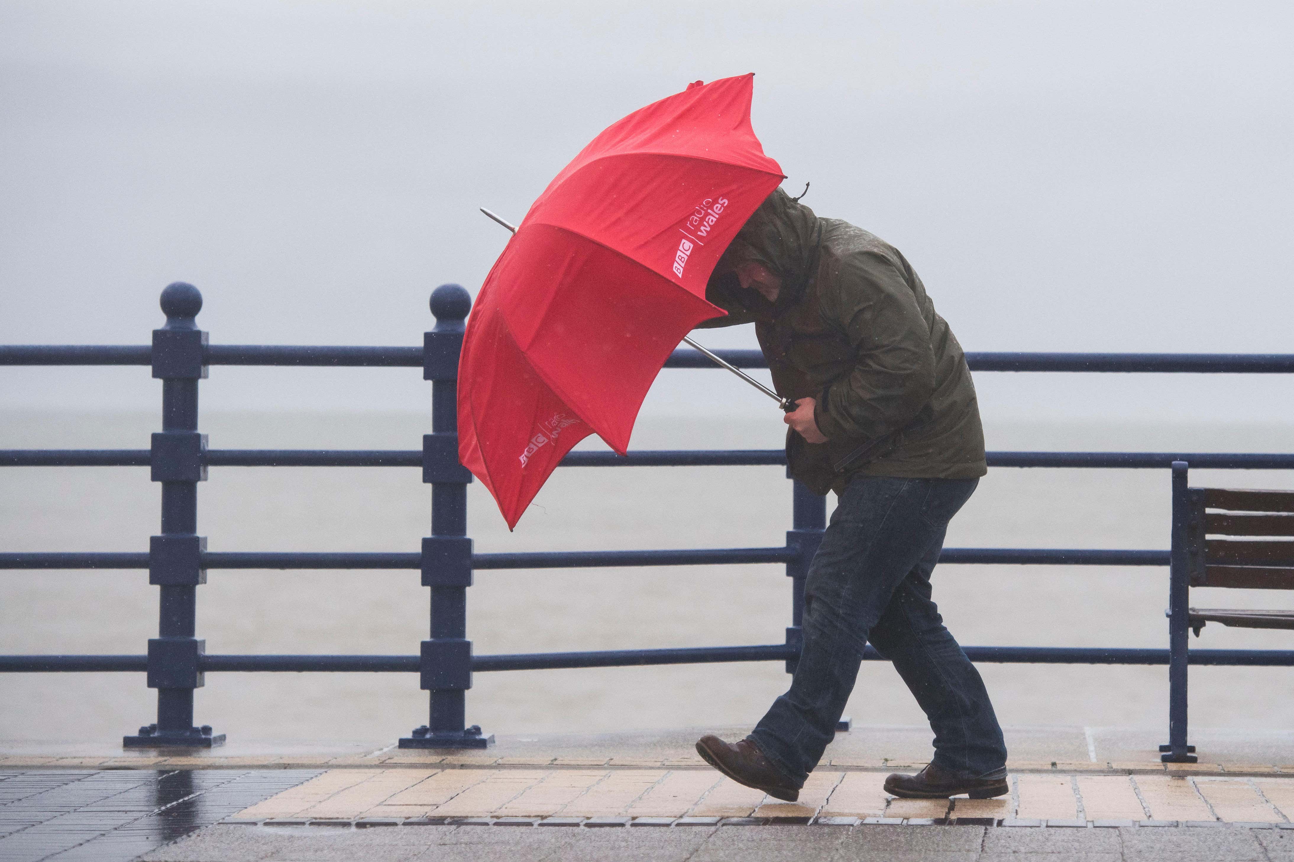 Strong winds are forecast to hit the country on Friday (Alamy/PA)