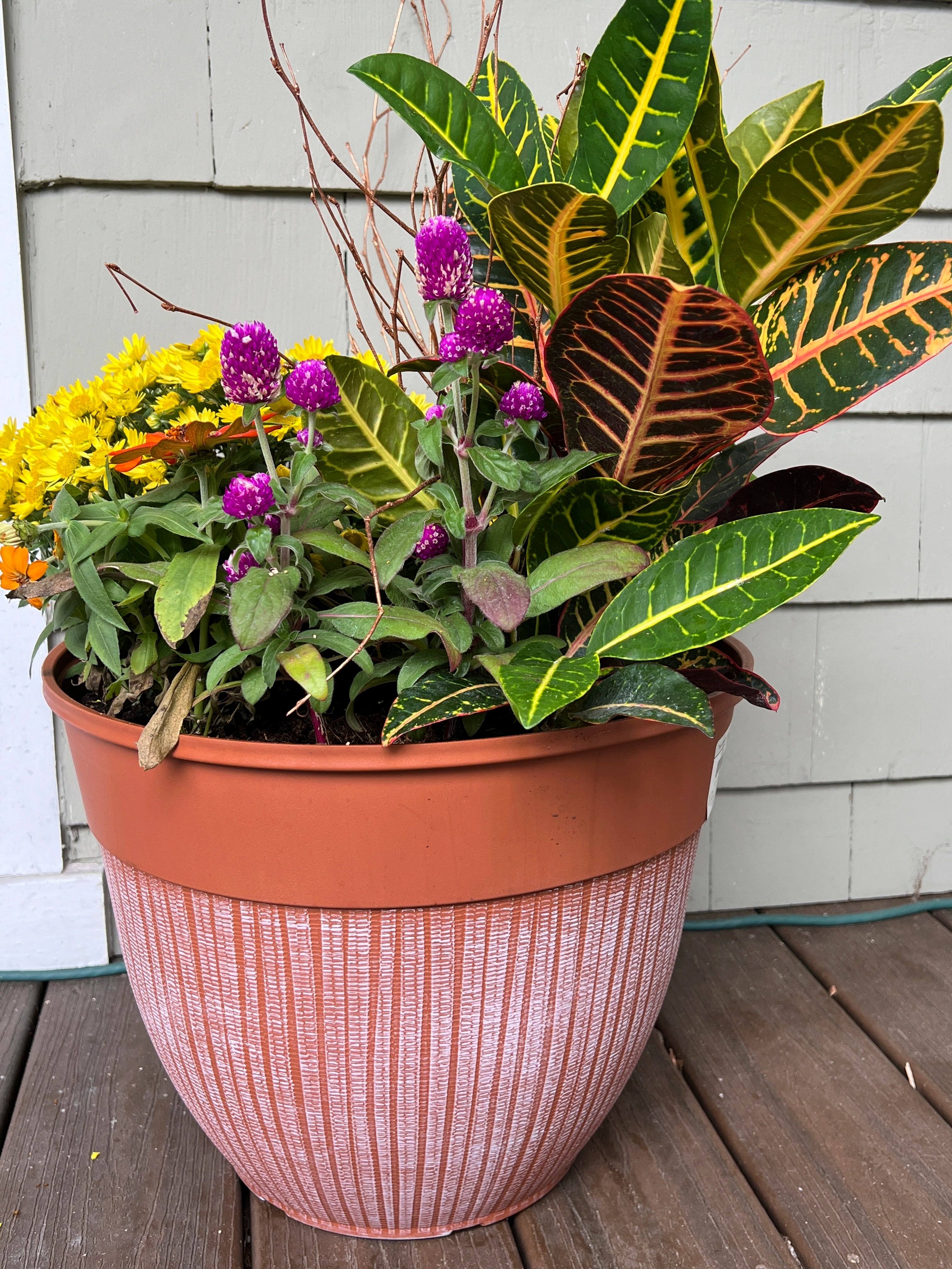 Gardening-First Garden