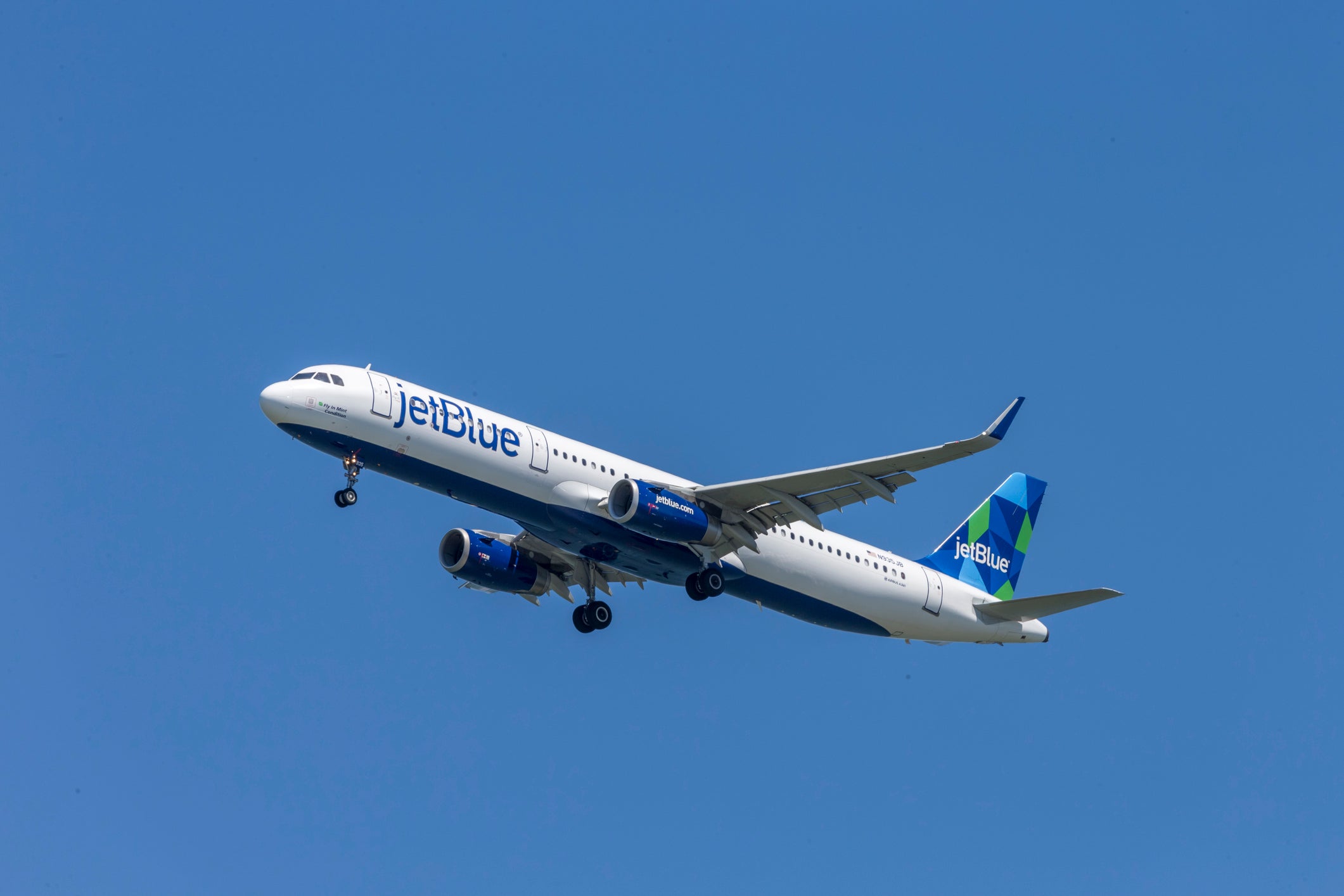 <p>The airline’s CEO Joanna Geraghty informed staff of incoming cost-cutting measures in a memo on Monday</p>