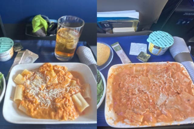<p>United Airlines passenger shares picture of soupy pasta served on her domestic flight </p>