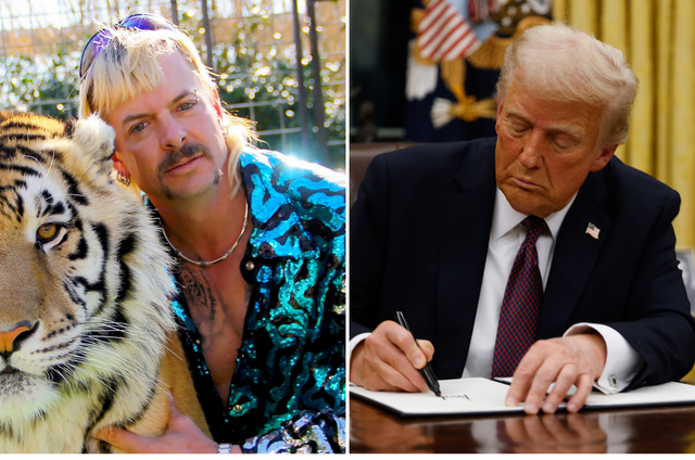 <p>Joe Exotic and Donald Trump</p>