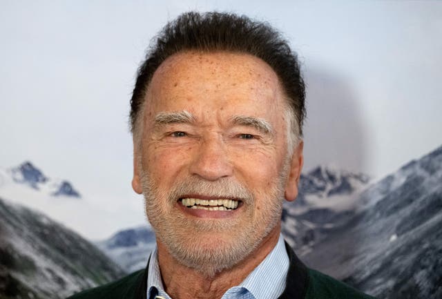 <p>Arnold Schwarzenegger </p>