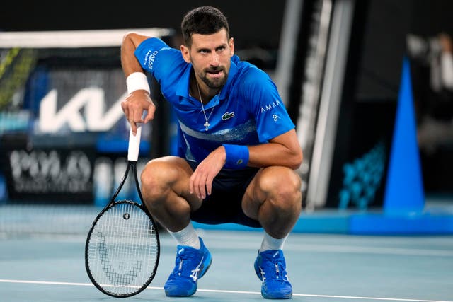 Novak Djokovic crouches down after hurting his left leg (Asanka Brendon Ratnayake/AP)