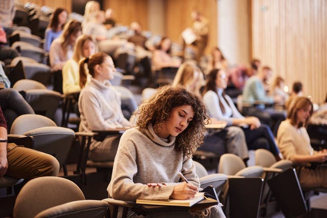 <p>Estudiante universitaria escribiendo durante una clase  </p>
