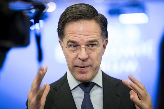 <p>Nato secretary general Mark Rutte</p>