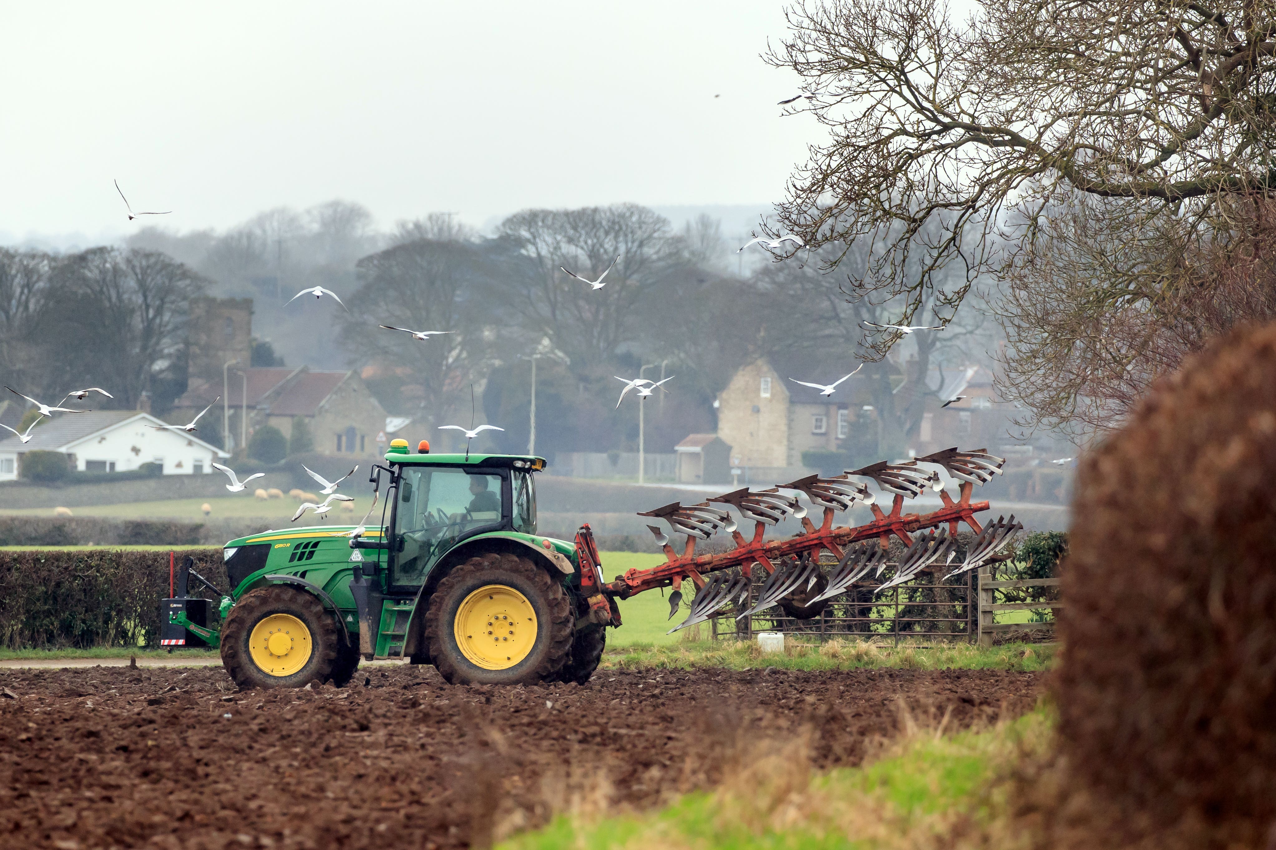 The number of farmers taking their own lives should be measured to understand ‘human cost’ of the Government’s inheritance tax changes on agricultural property, a Tory shadow minister says (Danny Lawson/PA)