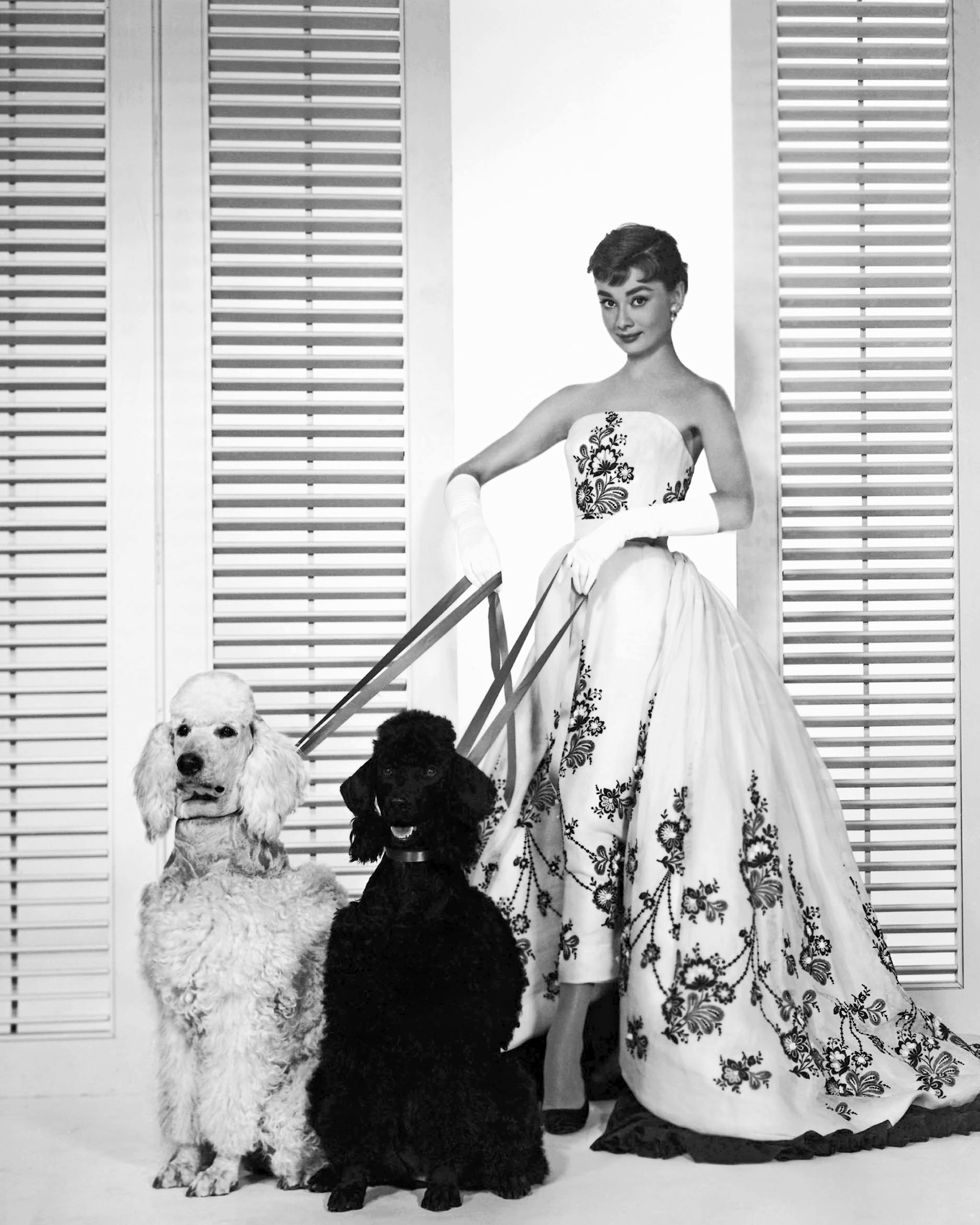 Audrey Hepburn wearing her iconic dress in 1954 film ‘Sabrina’