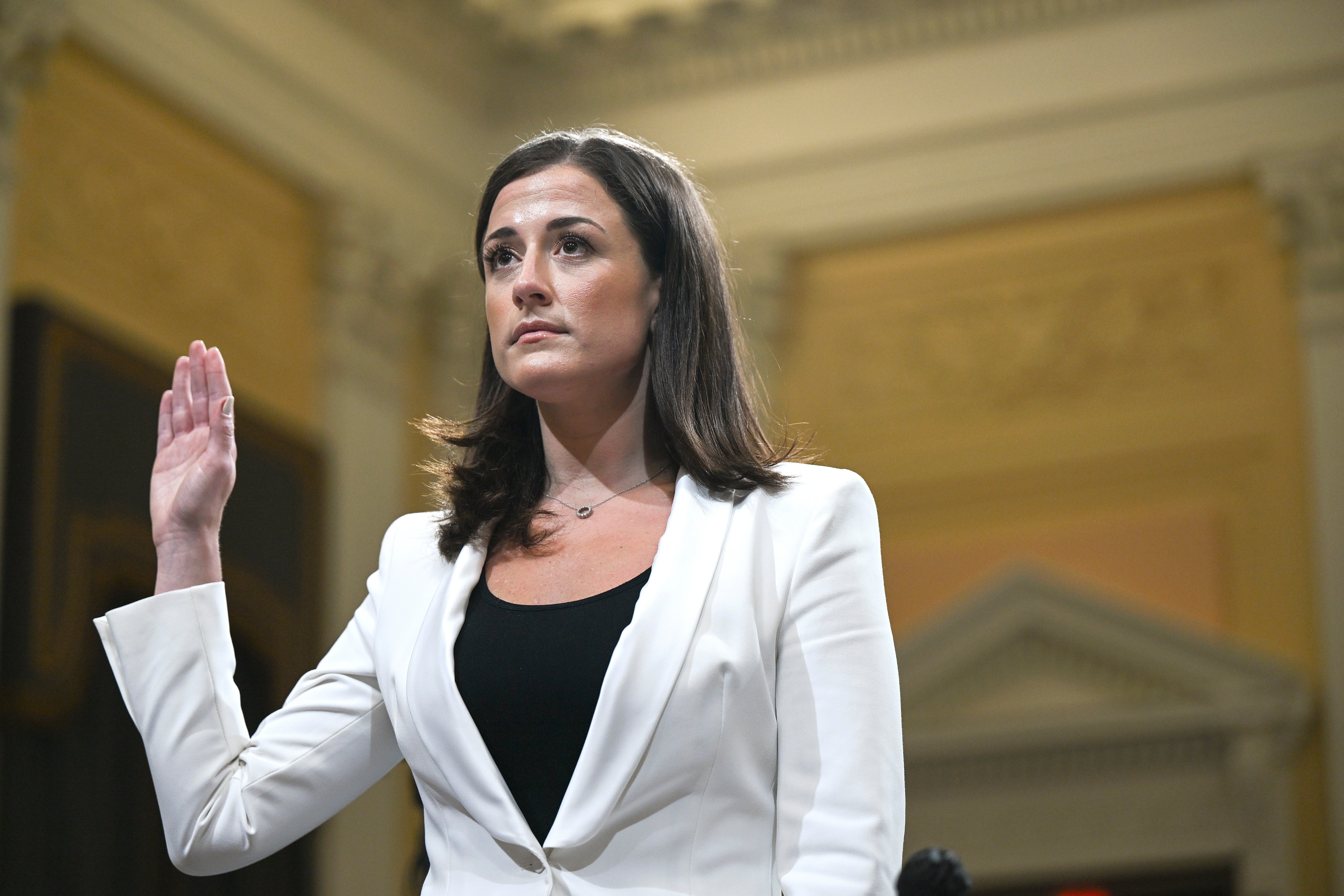 Cassidy Hutchinson, a former White House aide whose testimony before the 2022 House Select Committee linked Trump to the violence during the Capitol riot, is reportedly now facing an investigation led by the Department of Justice