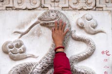 Chinese Lunar New Year 2025: What does the Year of the Snake mean for you?