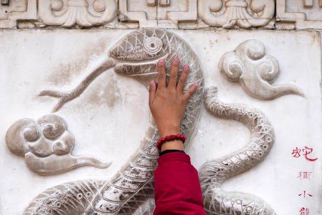 <p>A woman touches the snake figure on the stone wall ahead of the Chinese Lunar New Year of the Snake</p>