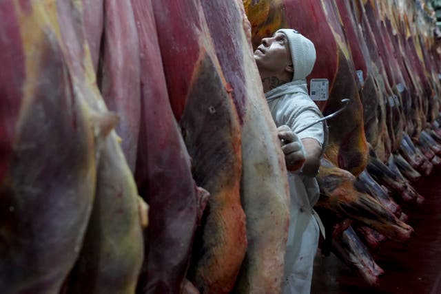 Pictures of the Week Latin America and Caribbean Photo Gallery