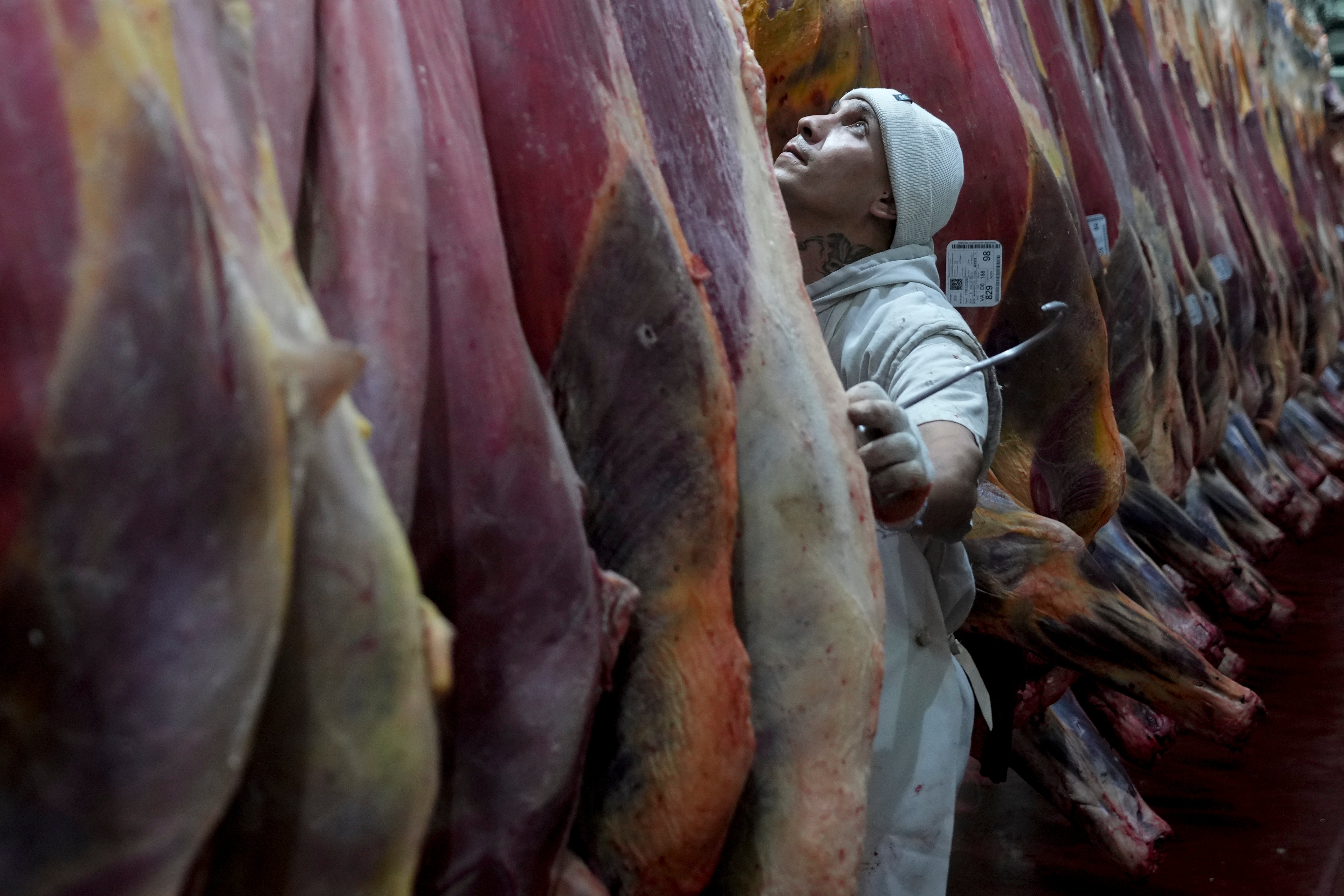 REP-GEN LATINOAMÉRICA EN IMÁGENES-FOTOS