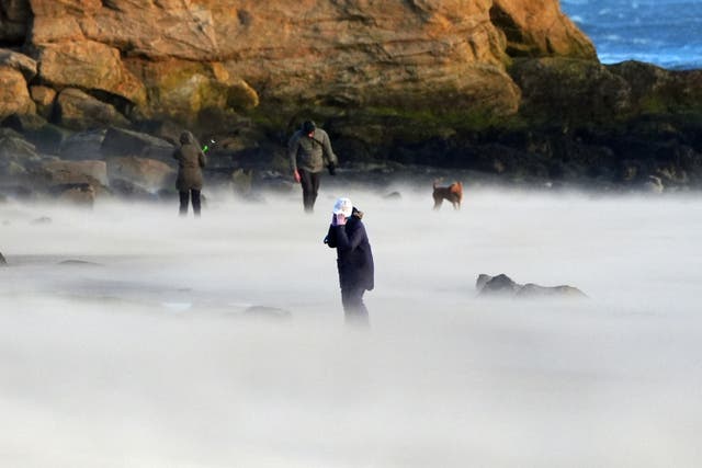 <p>A person holding their hand on a windswept beach on the north-east coast of England  </p>