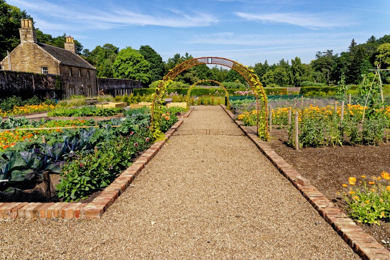 Five of the UK’s best spring walks to make you feel alive