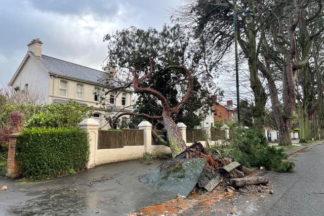 Storm Eowyn caused destruction and disruption across the UK and Ireland, causing damage to trees, properties and the electricity network, leaving tens of thousands without power (David Young/PA)