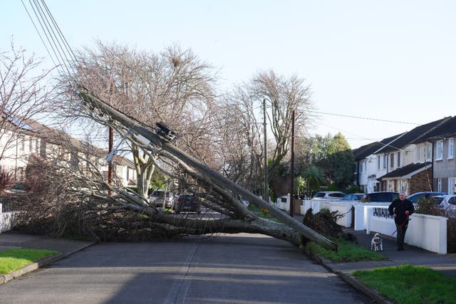 A fallen tree and telegraph pole on Grove Park Drive in Dublin (Brian Lawless/PA)