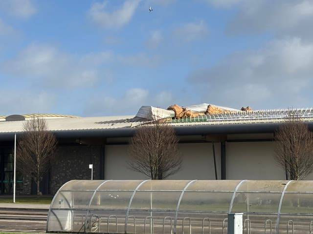 More than 280,000 without power in NI after Storm Eowyn batters region ...