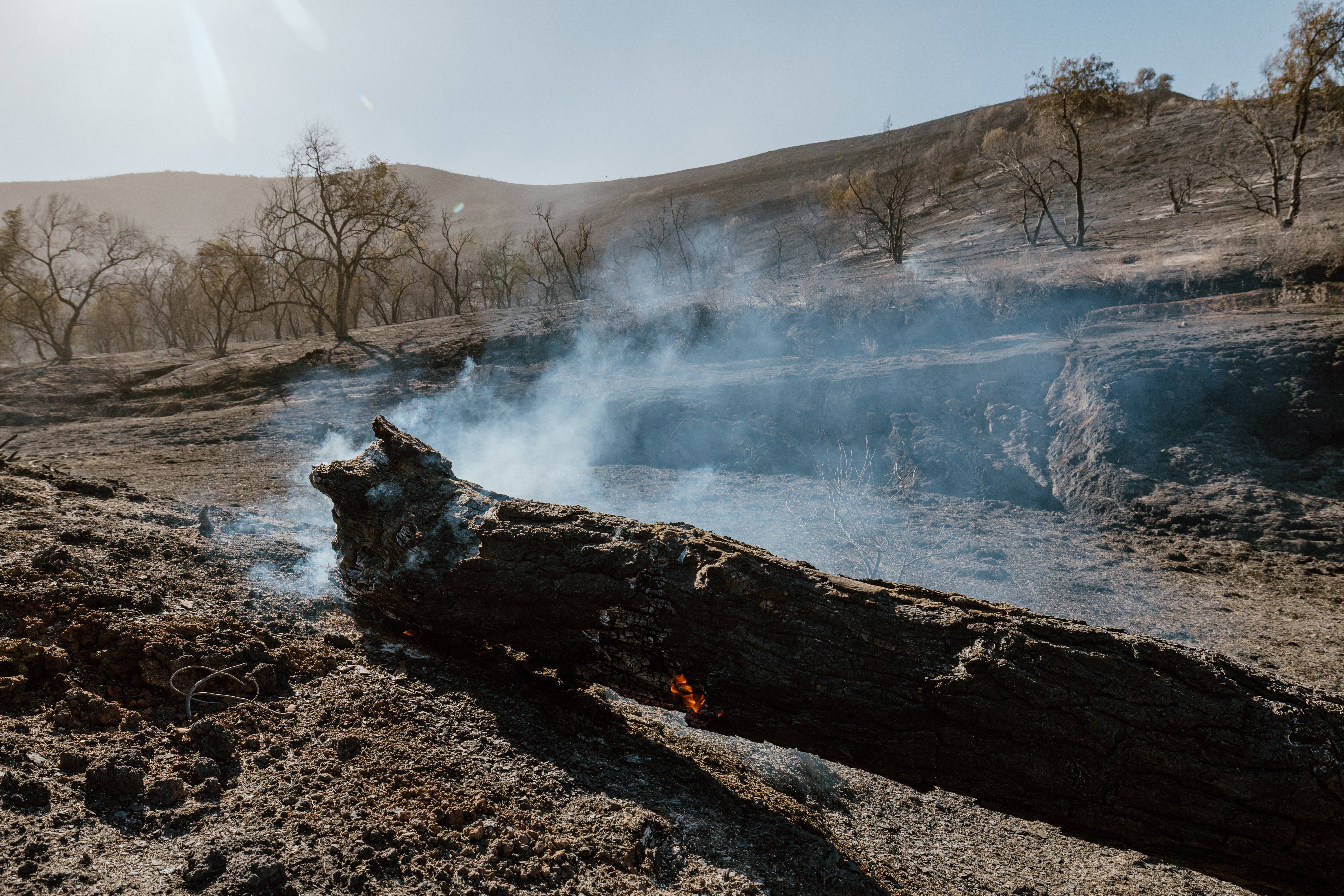 A smoldering tree trunk continues to burn amid the charred landscape of the Hughes fire in Santa Clarita, California, on Thursday. The wildfire has torn over more than 10,000 acres