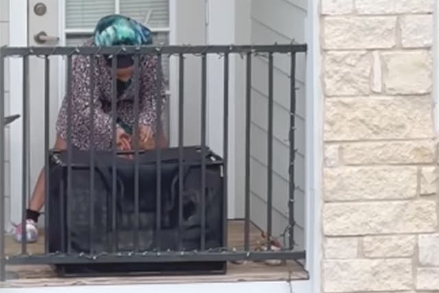 <p>This video spread online apparently showing Hannah Miller, 23, beating her dog  </p>