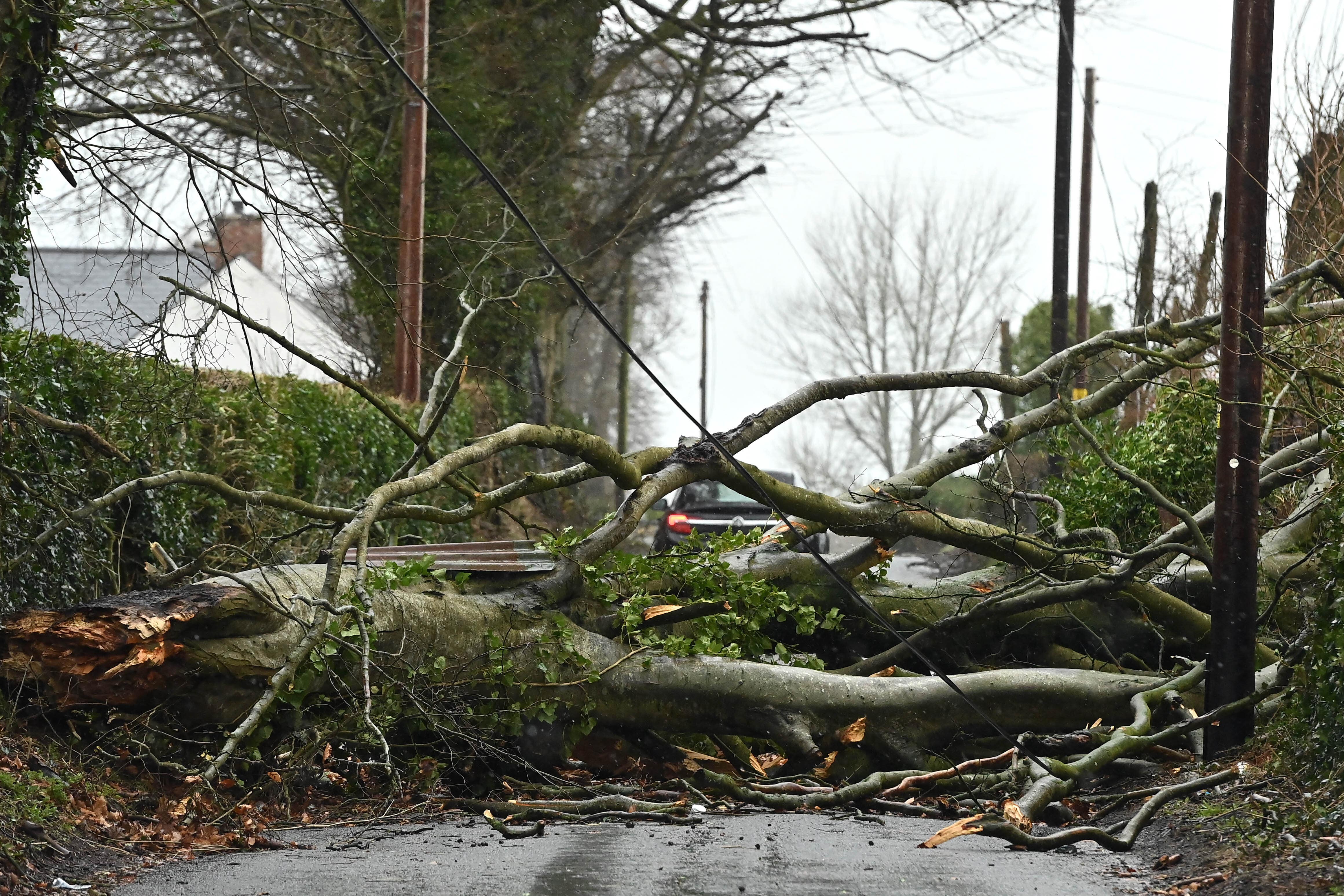 Storm Eowyn has wreaked travel havoc and forced schools to shut (Oliver McVeigh)