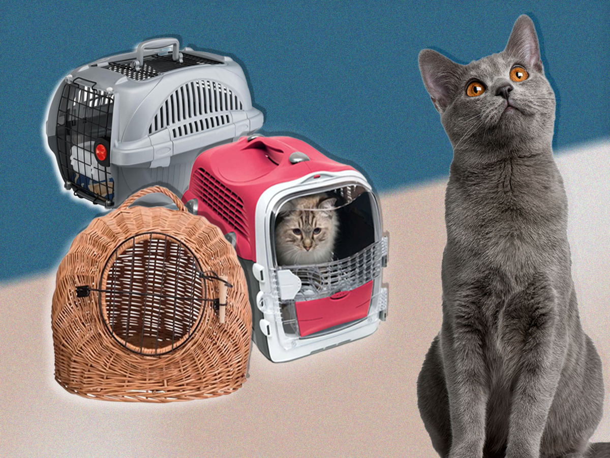 Cat carry baskets sales