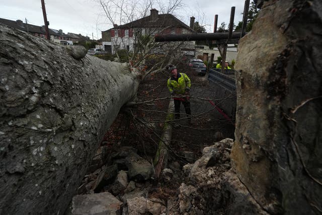 Man dies after tree falls on his car in Co Donegal during Storm Eowyn ...