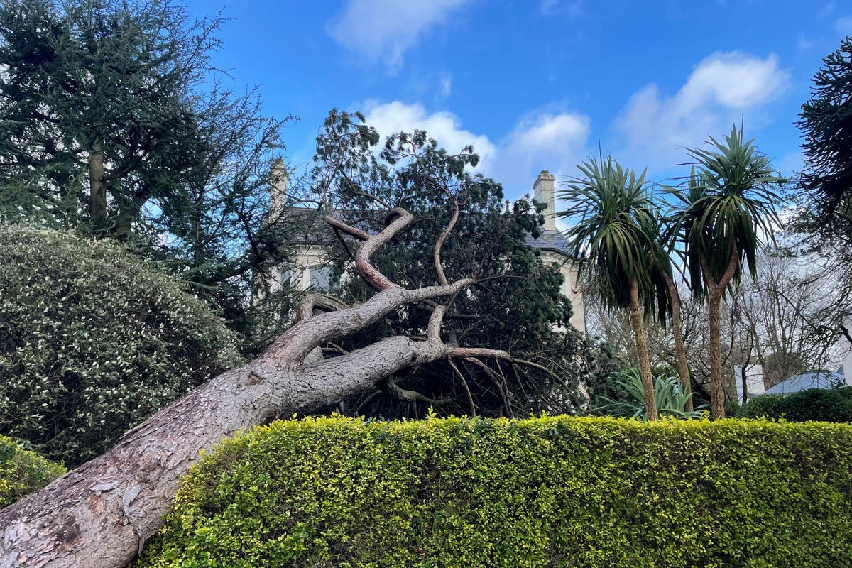 Storm Éowyn Causes Extensive Damage Across Ireland, Scotland, Northern Ireland