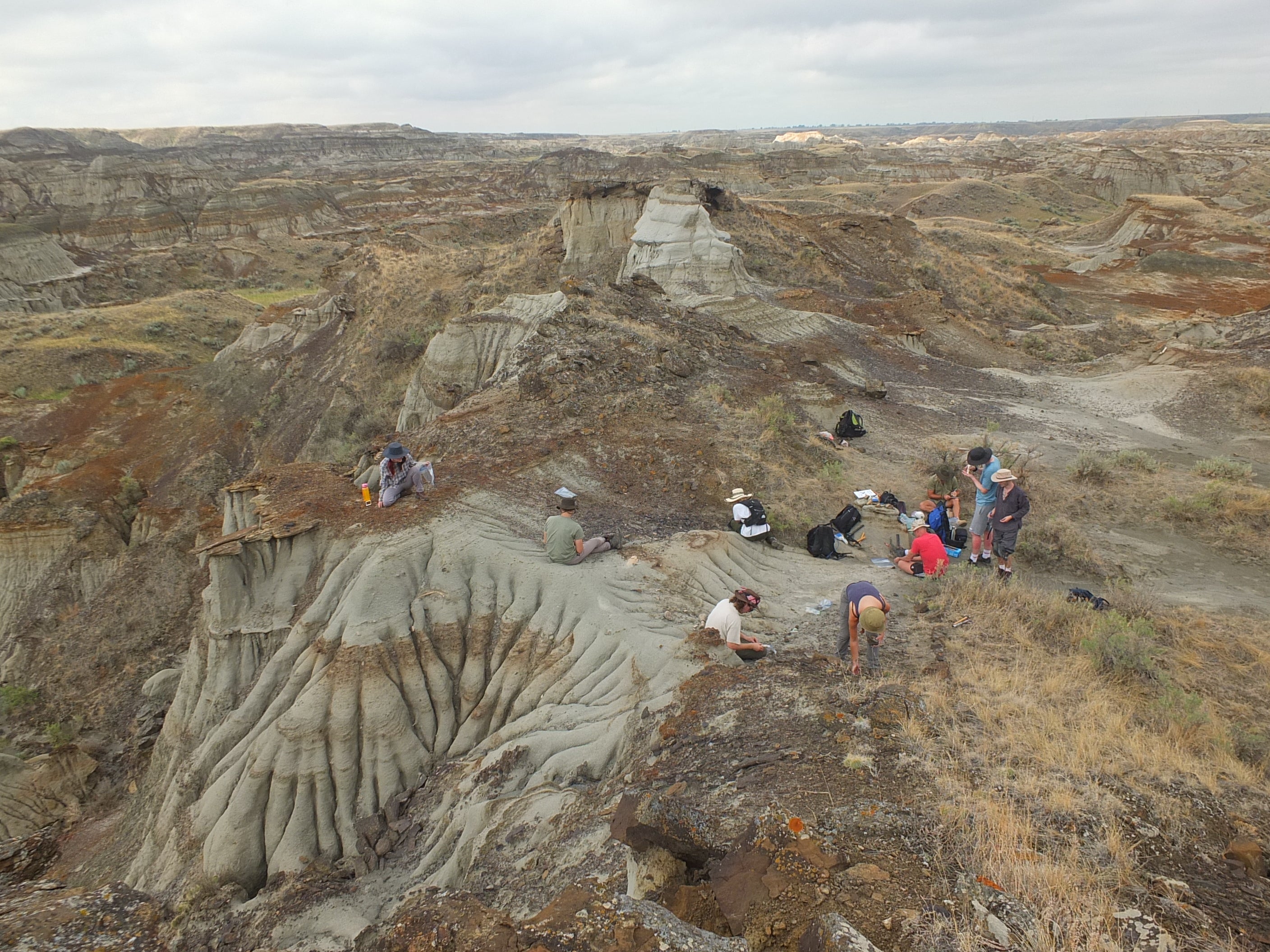 Uma foto aérea mostra pesquisadores trabalhando no local onde o fóssil foi encontrado no Parque Provincial dos Dinossauros, no Canadá. Pesquisadores do Museu Real Tyrrell de Paleontologia, no Canadá, da Universidade de Reading e da Universidade da Nova Inglaterra, na Austrália, colaboraram na pesquisa.