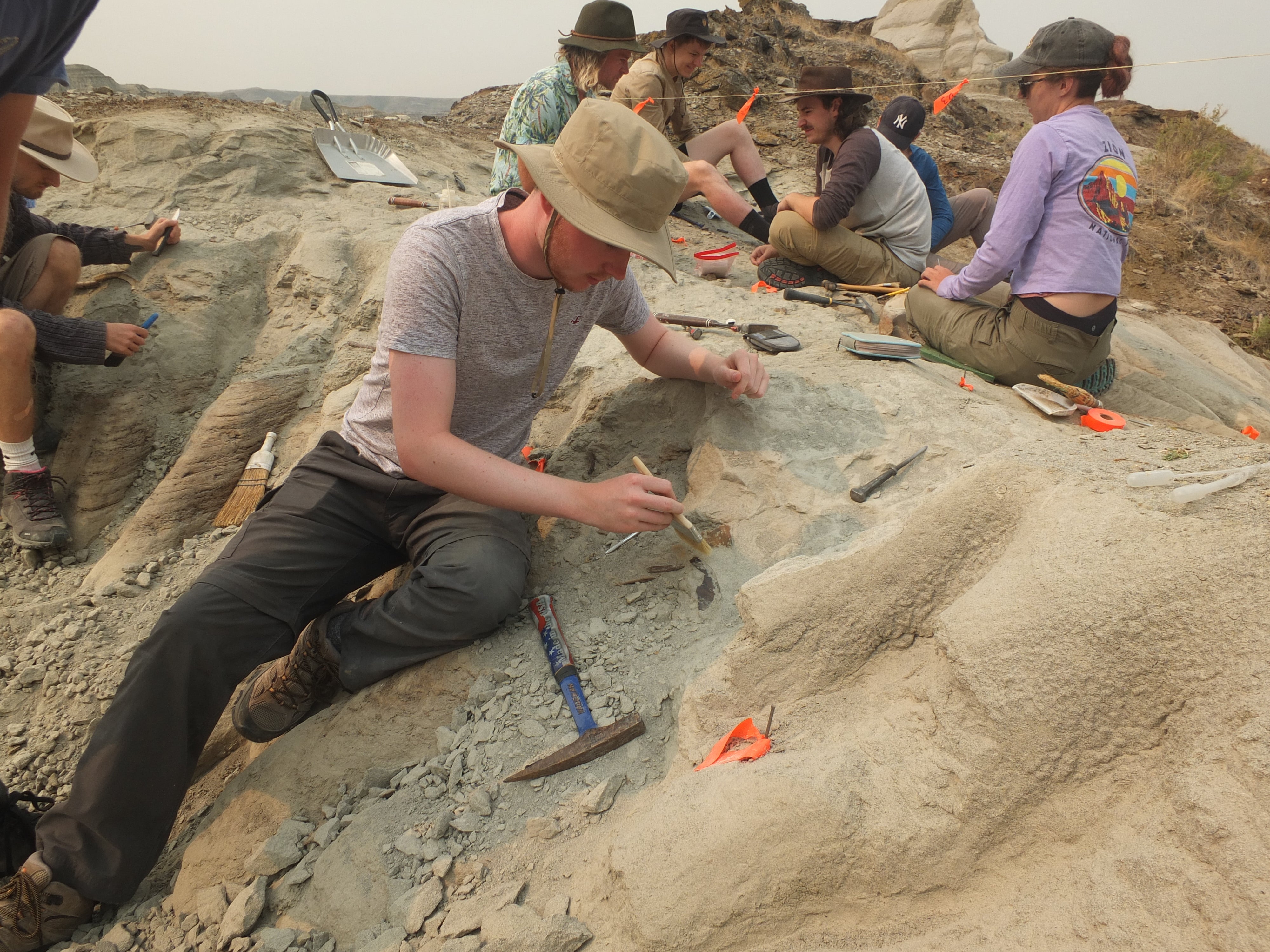 Uma equipe trabalha no Dinosaur Provincial Park em Alberta, Canadá. Parque estadual faz importantes descobertas de fósseis de dinossauros