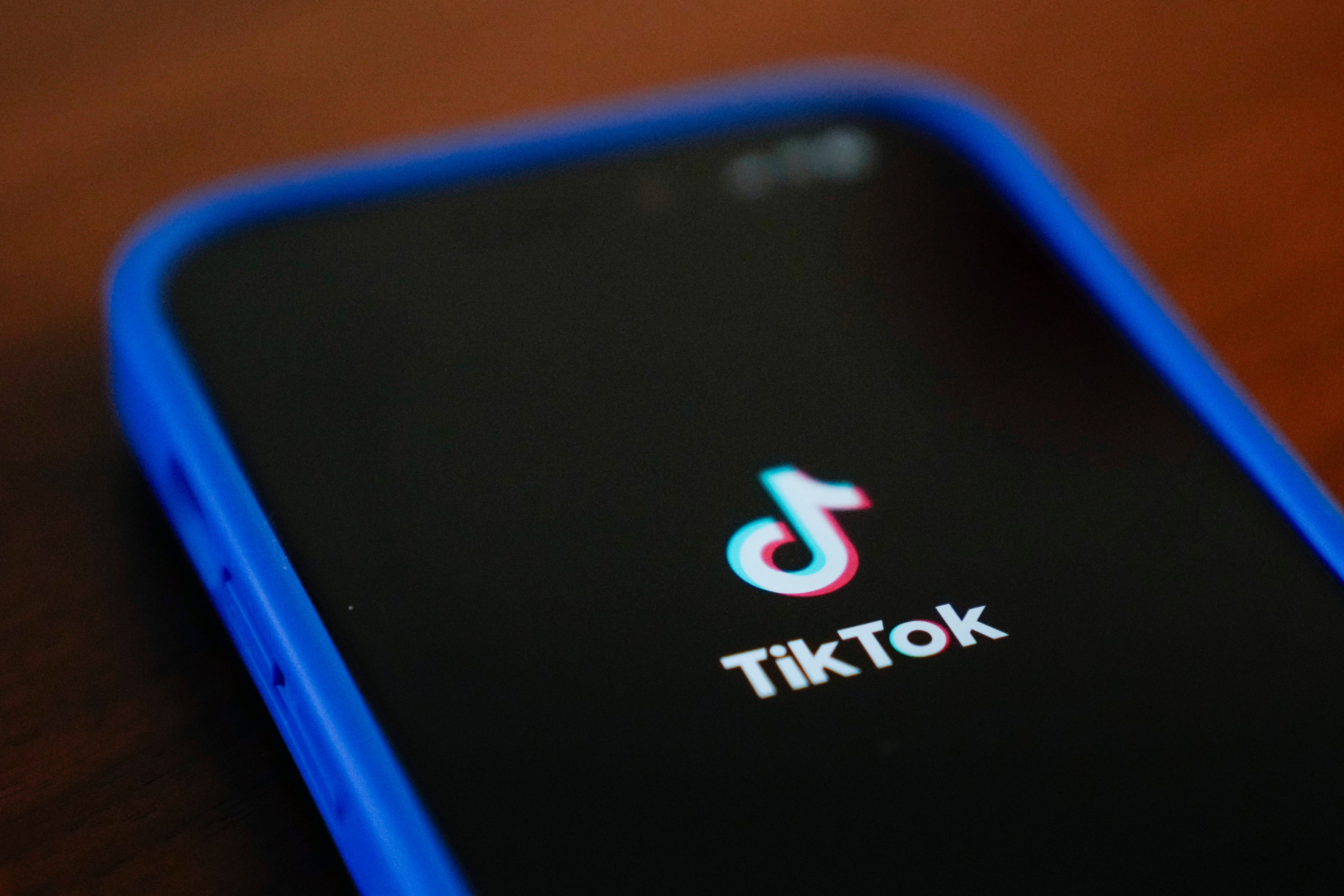 <p>The families of four young people are suing TikTok in the US</p>