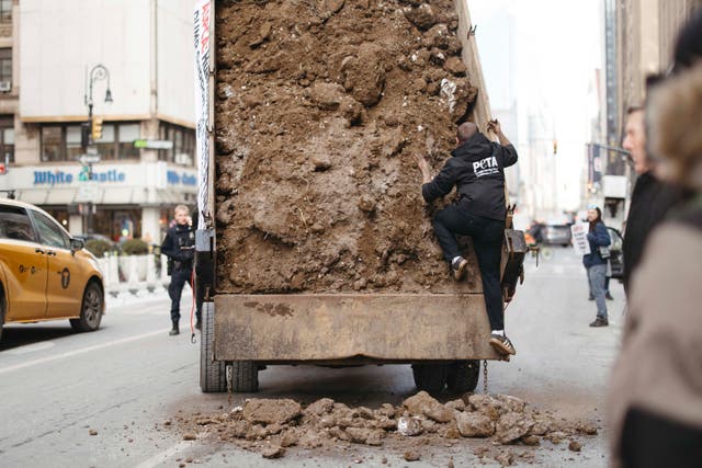 PETA Protest Manure