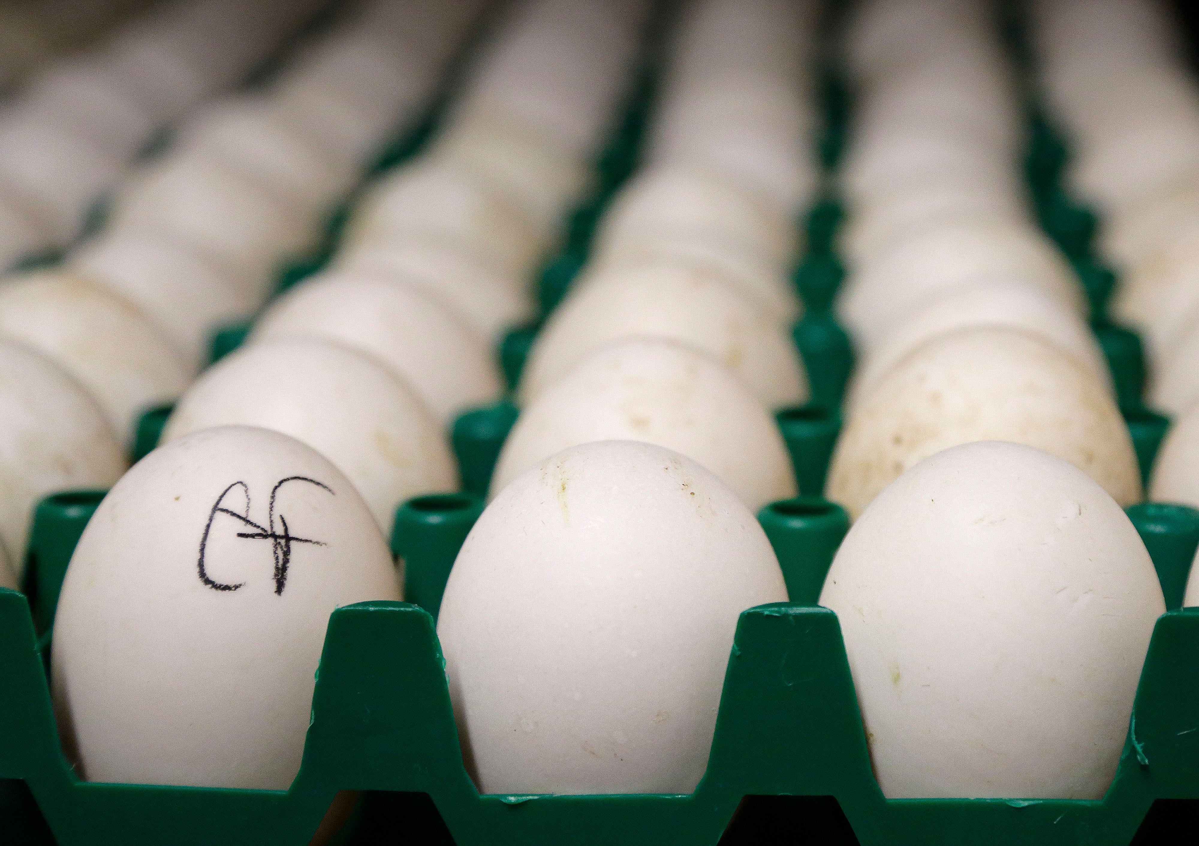 The price of eggs could continue to soar another 20 percent this years, experts have warned.