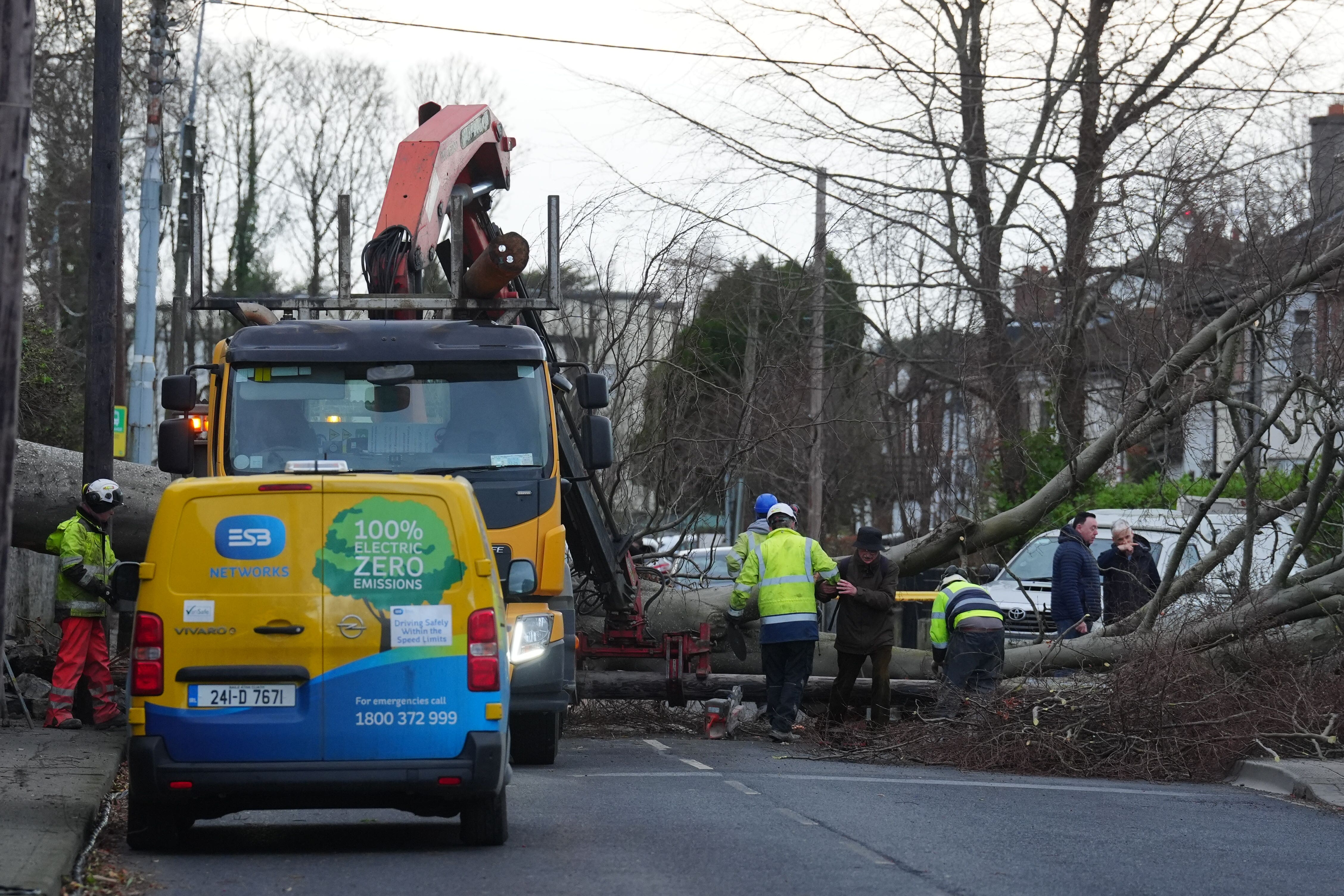 Workers start to remove a fallen tree which crashed through the wall of Phoenix Park and on to Blackhorse Avenue in Dublin (PA)
