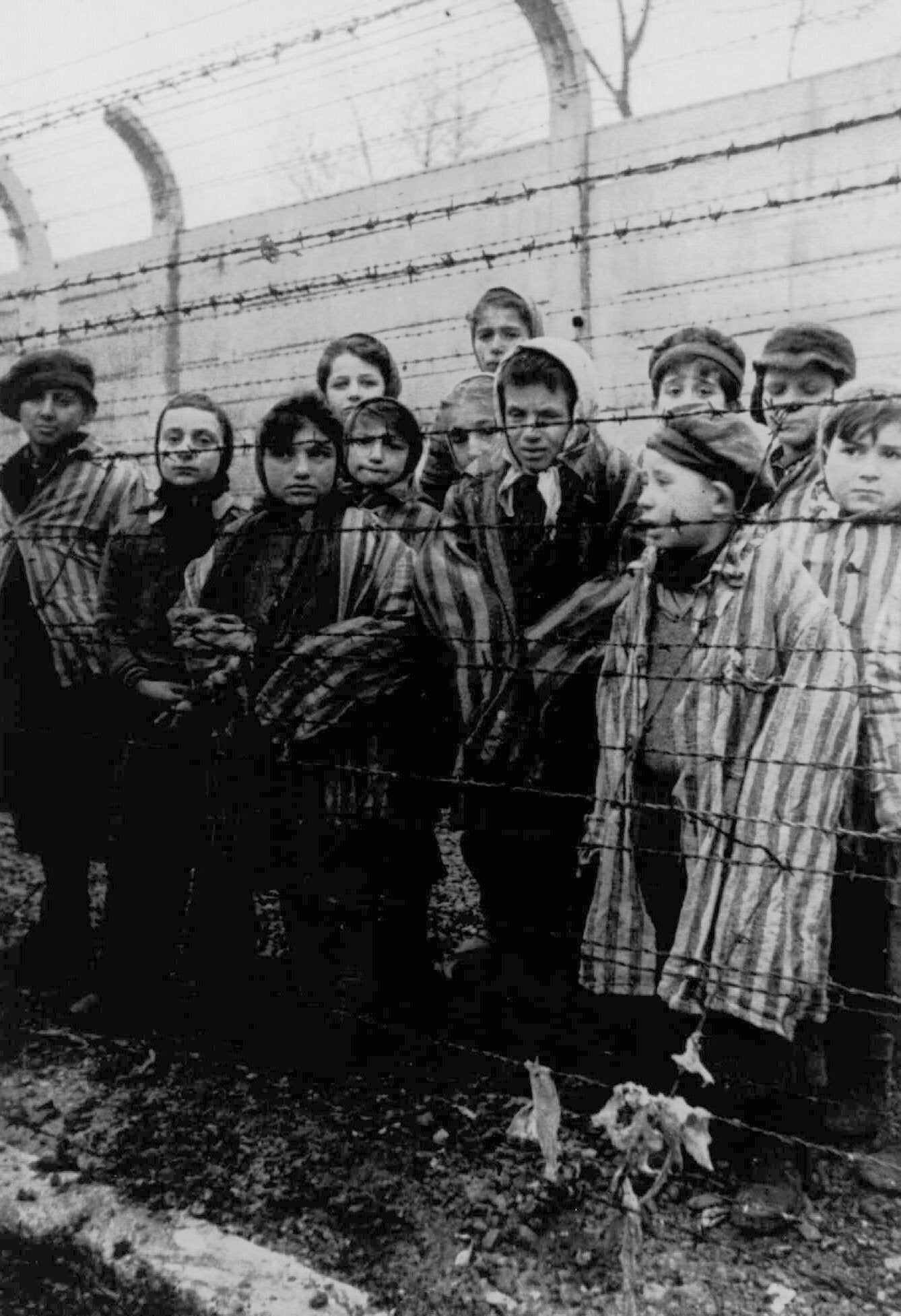 Auschwitz-80th Anniversary