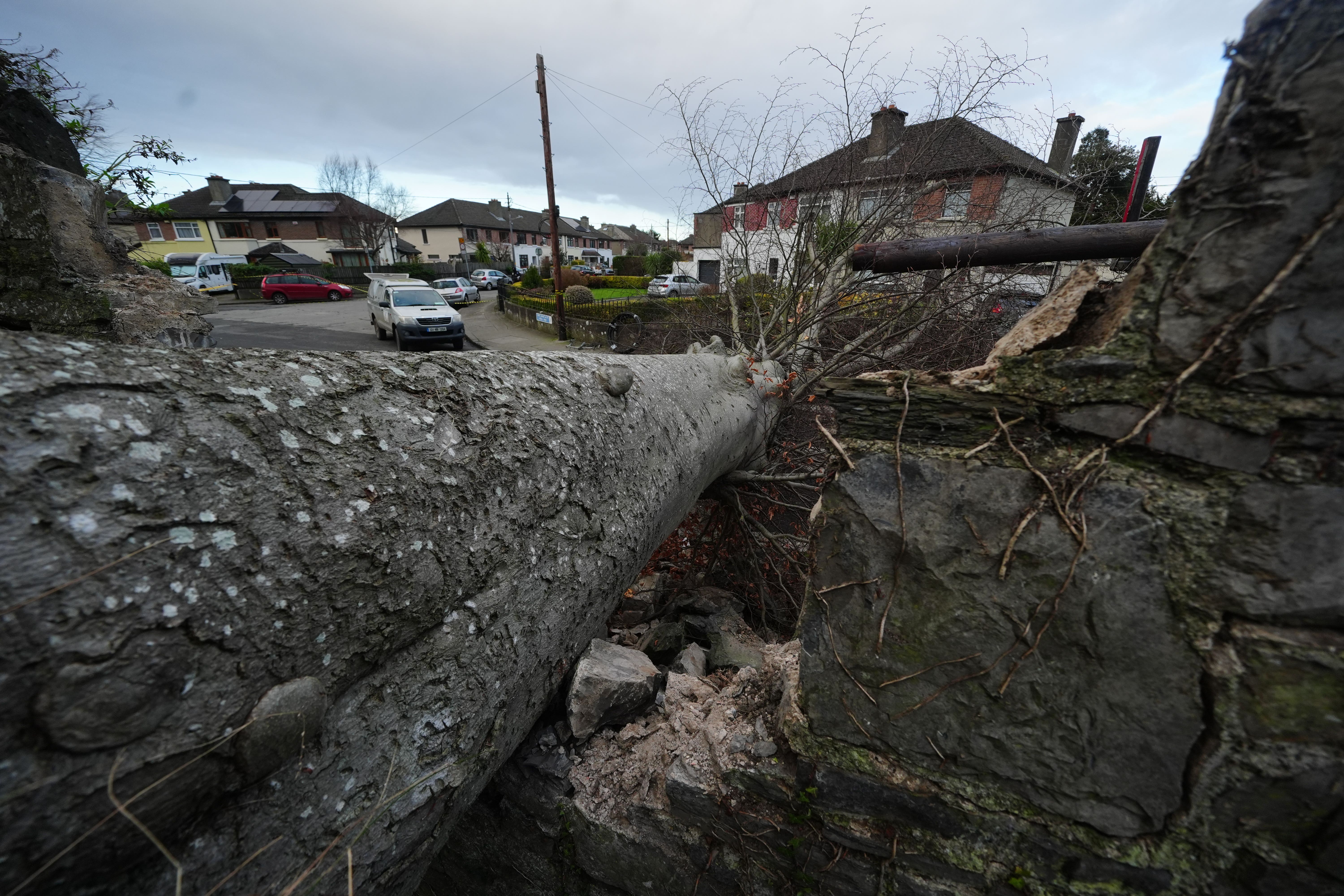 A fallen tree which crashed through the wall of Phoenix Park and on to Blackhorse Avenue in Dublin (Brian Lawless/PA)