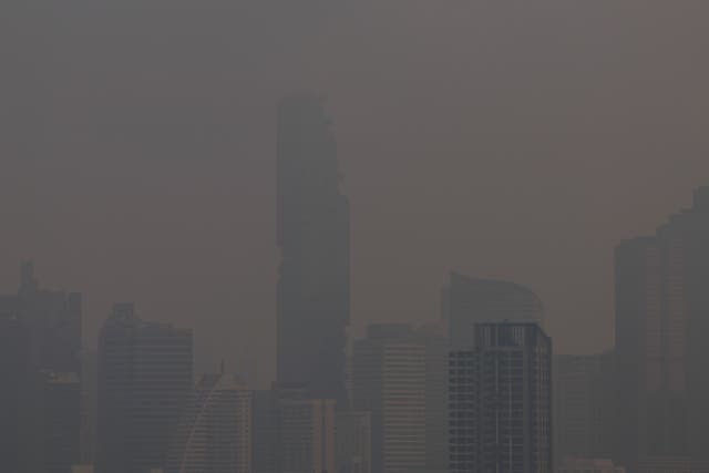 <p>A view of Bangkok amid its ongoing air pollution crisis</p>