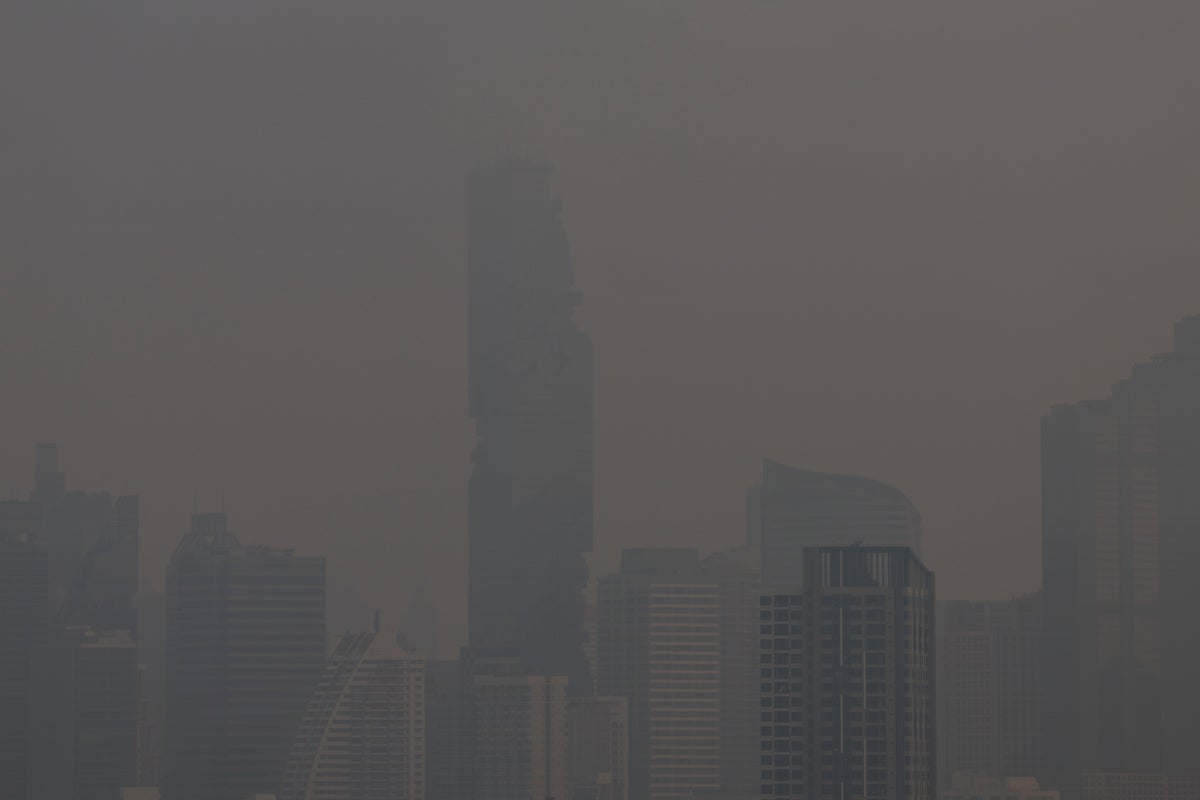 Study reveals alarming impact of even brief exposure to air pollution on our brains