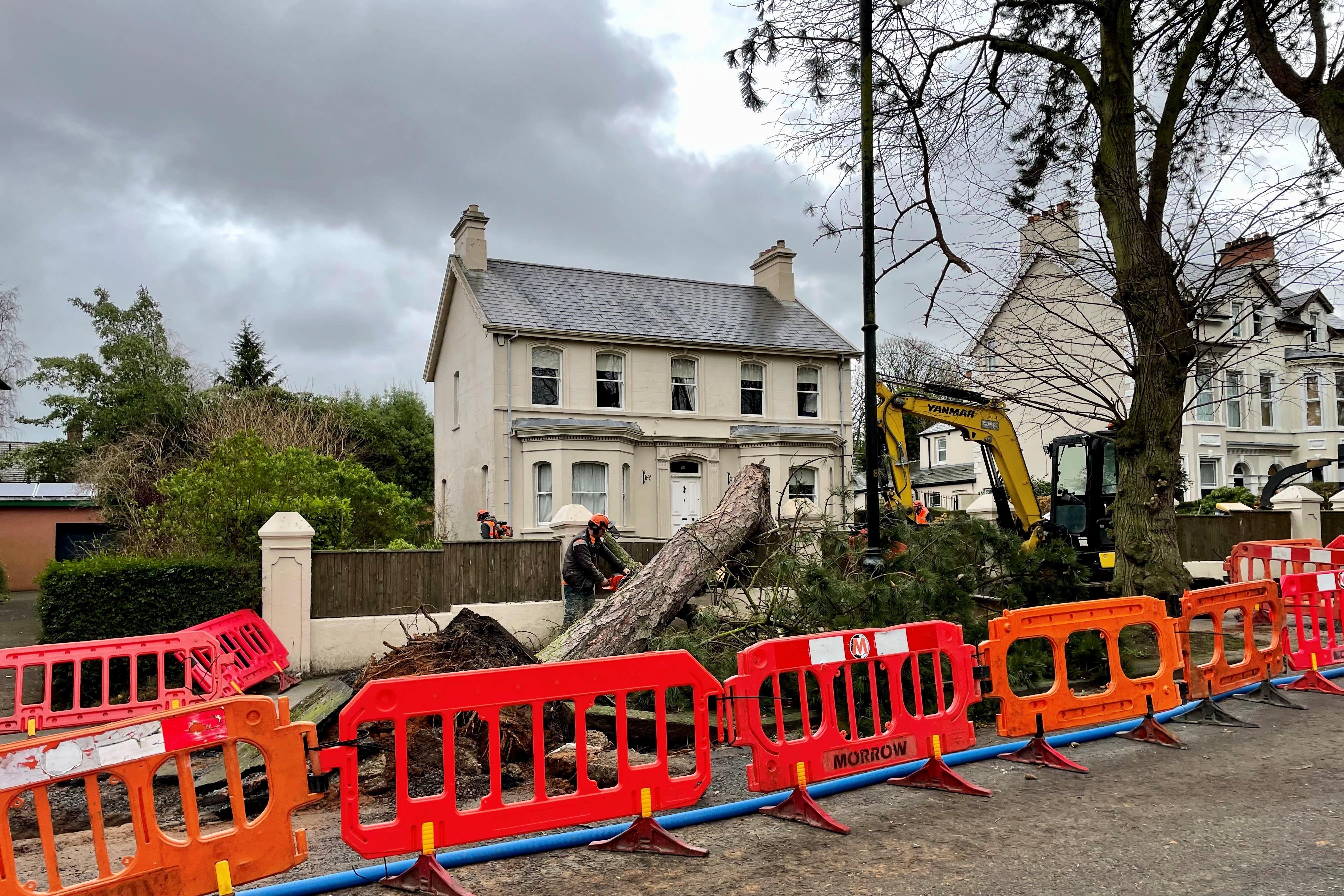 Tree removal work on Cyprus Avenue in east Belfast. More than 100,000 remain without power in Northern Ireland in the aftermath of Storm Eowyn. (David Young/PA)