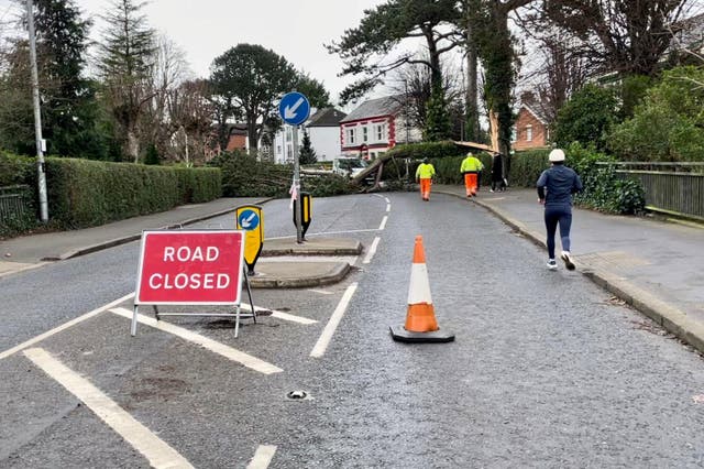 Highway maintenance workers inspecting a tree lying across North Road in east Belfast (David Young/PA)