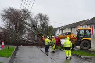 Workers clearing a fallen tree on Grove Park Drive in Dublin