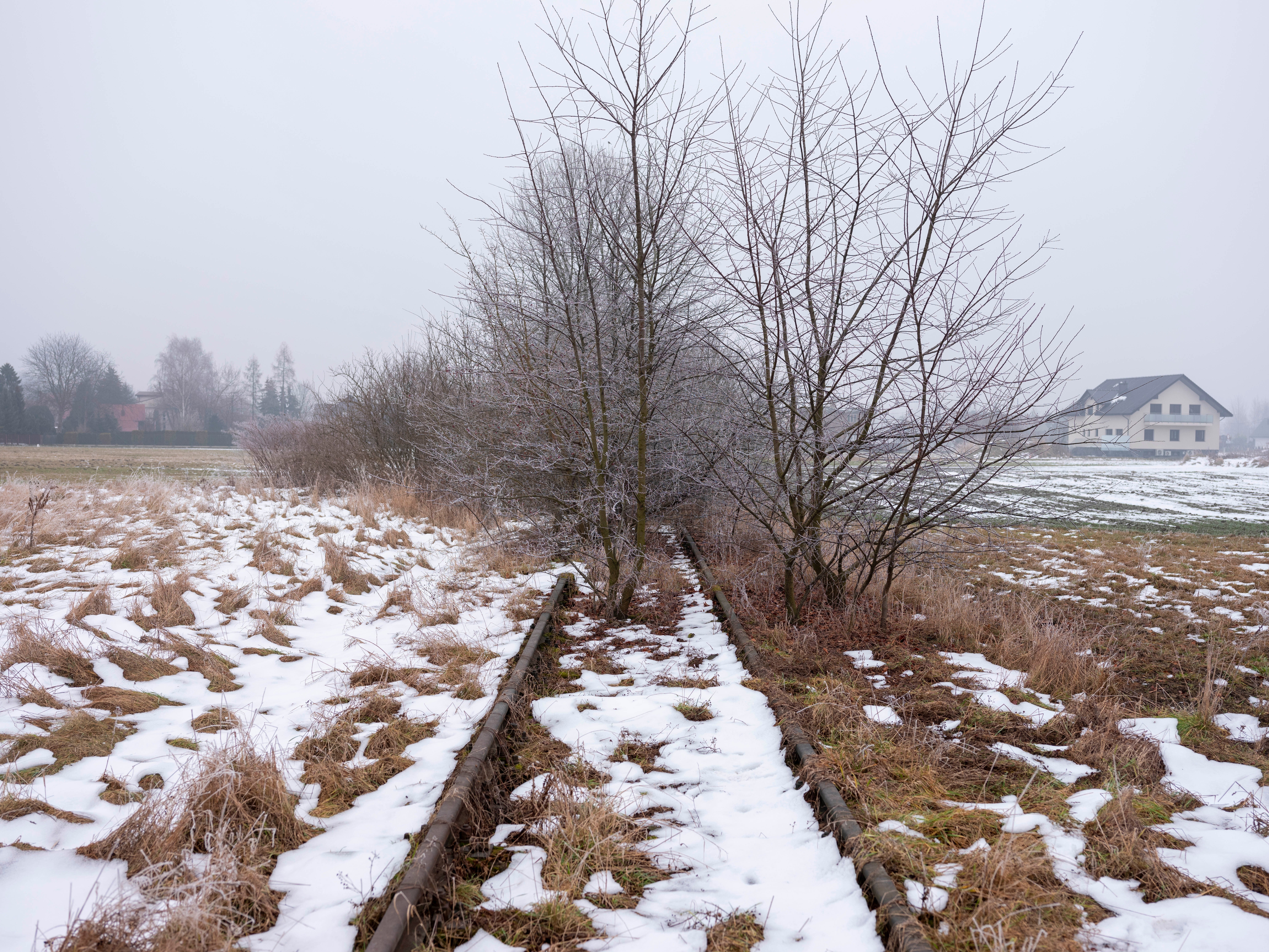 Railway To Auschwitz Photo Essay