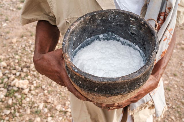 <p>Cup filled with camel milk</p>