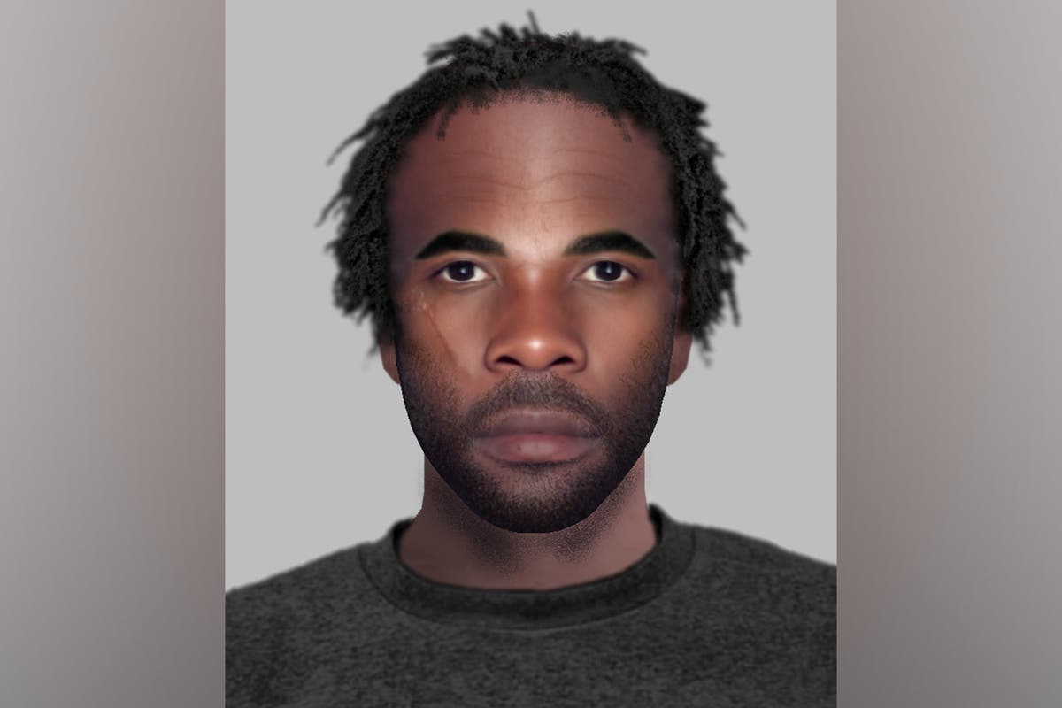 Police release e-fit after woman raped in car by man with distinctive scar